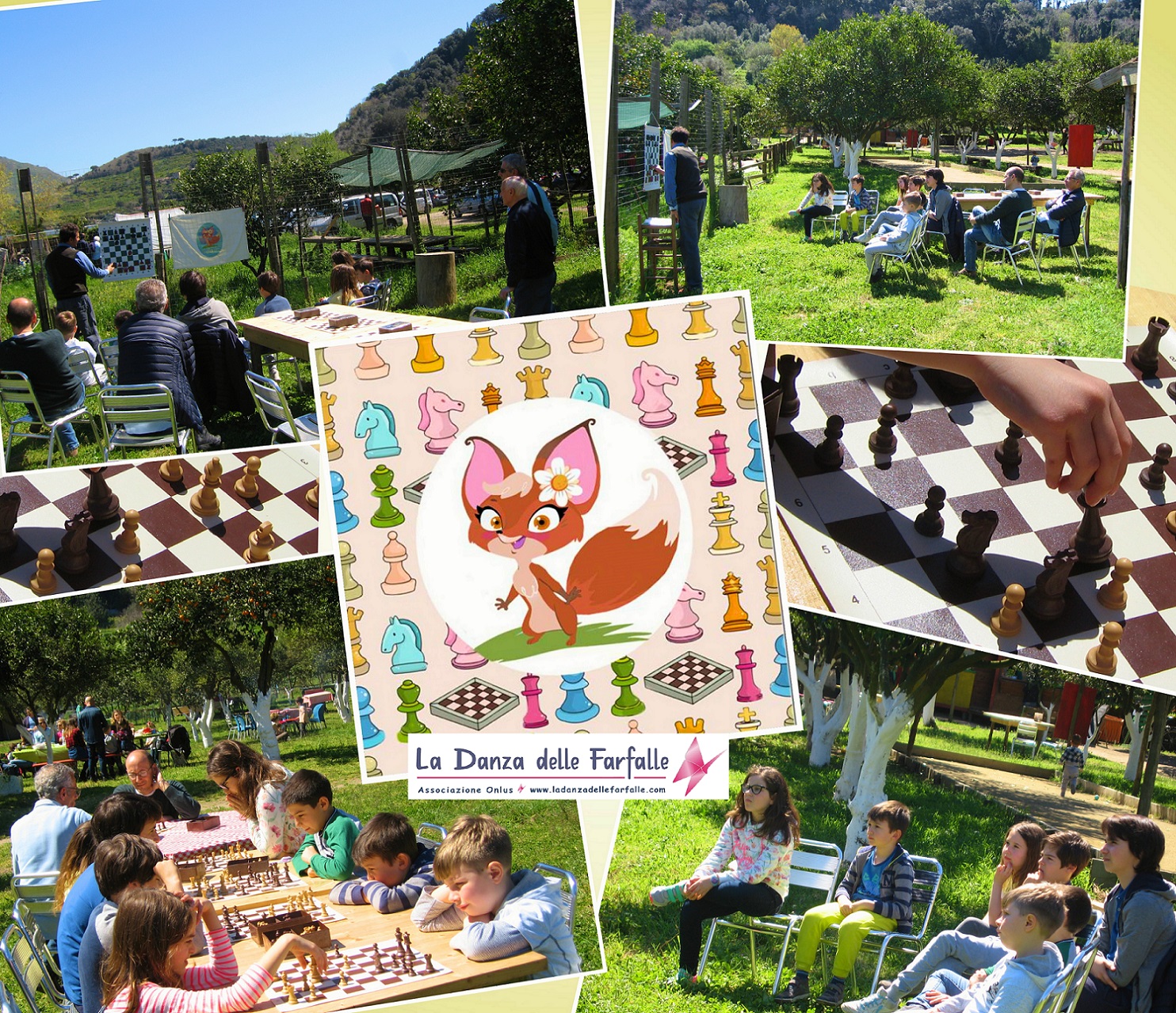 corso di scacchi de La volpe Sophia Aprile 2018 2 La Danza delle Farfalle Onlus sito 3